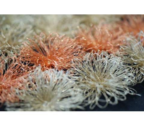 Poly Sparkle (Poly Star)